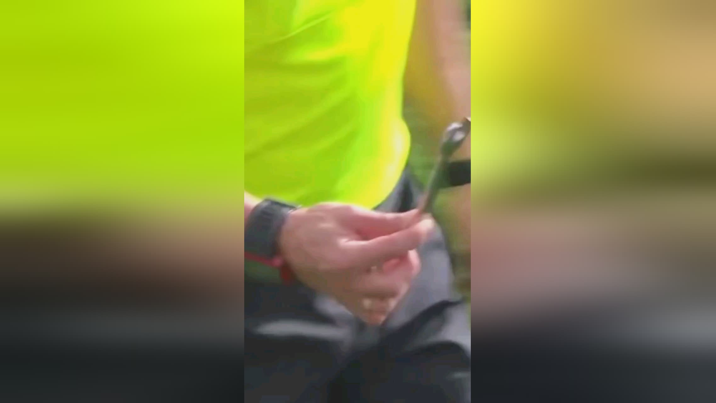 来了不小的